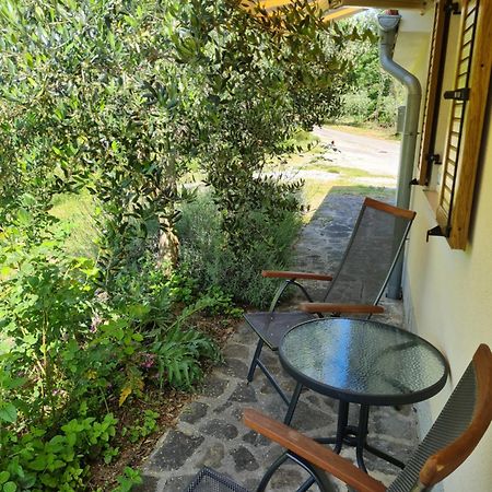 Apartma Istra Zora Secovlje Exterior photo