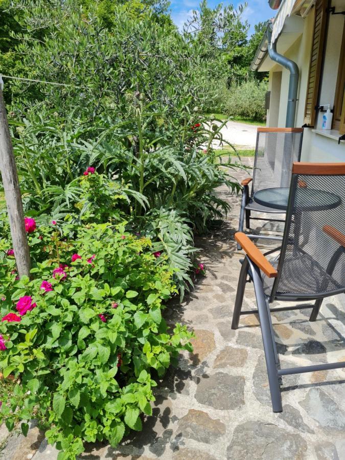 Apartma Istra Zora Secovlje Exterior photo