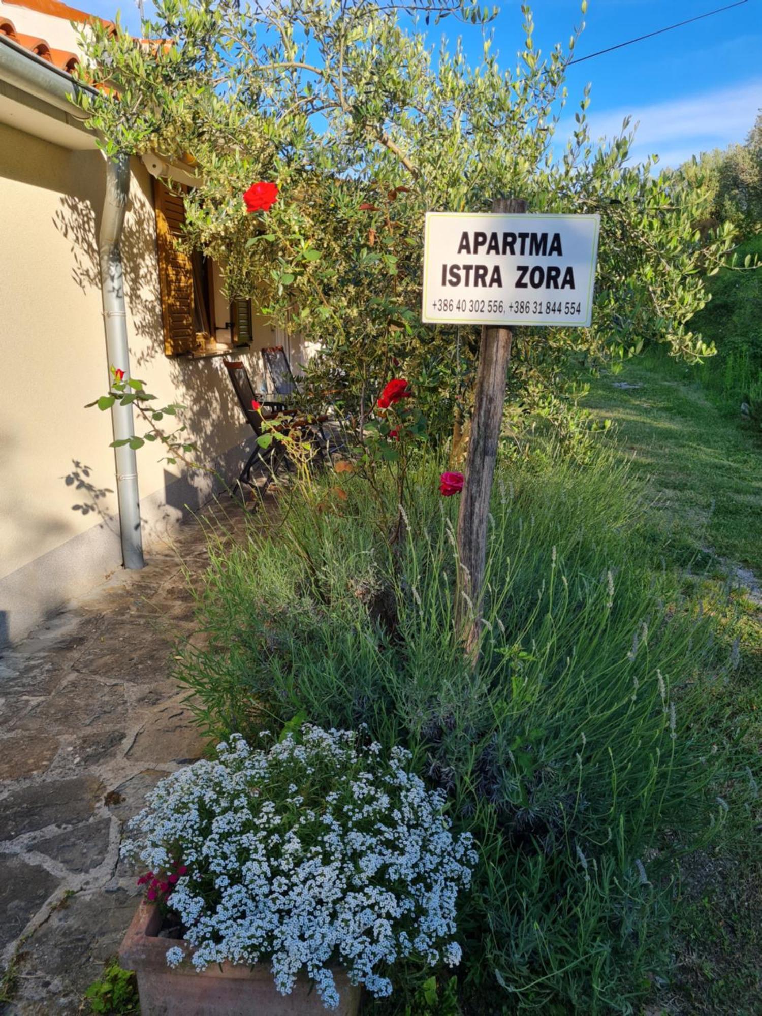 Apartma Istra Zora Secovlje Exterior photo