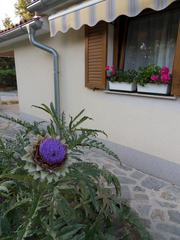 Apartma Istra Zora Secovlje Exterior photo