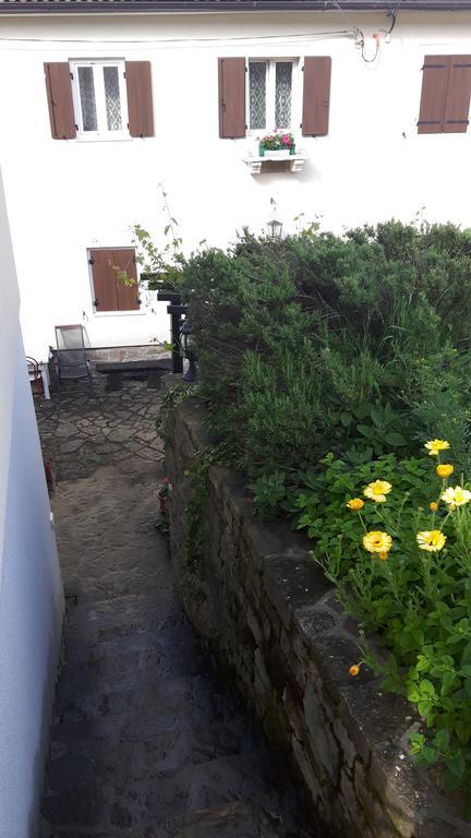 Apartma Istra Zora Secovlje Exterior photo